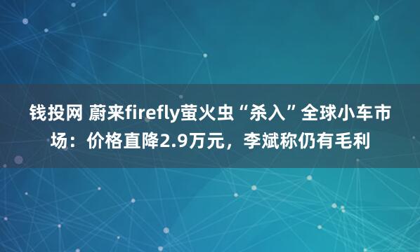 钱投网 蔚来firefly萤火虫“杀入”全球小车市场：价格直降2.9万元，李斌称仍有毛利