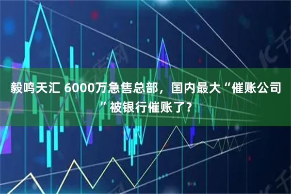 毅鸣天汇 6000万急售总部，国内最大“催账公司”被银行催账了？