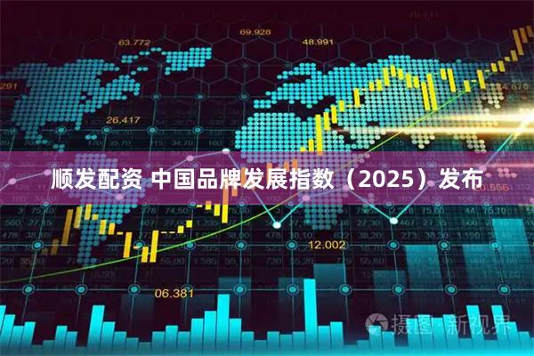 顺发配资 中国品牌发展指数（2025）发布